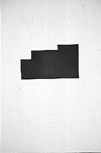 lachauer.jpg