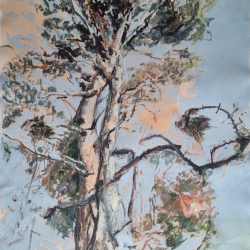 Stefanie Macherhammer; Into the sky