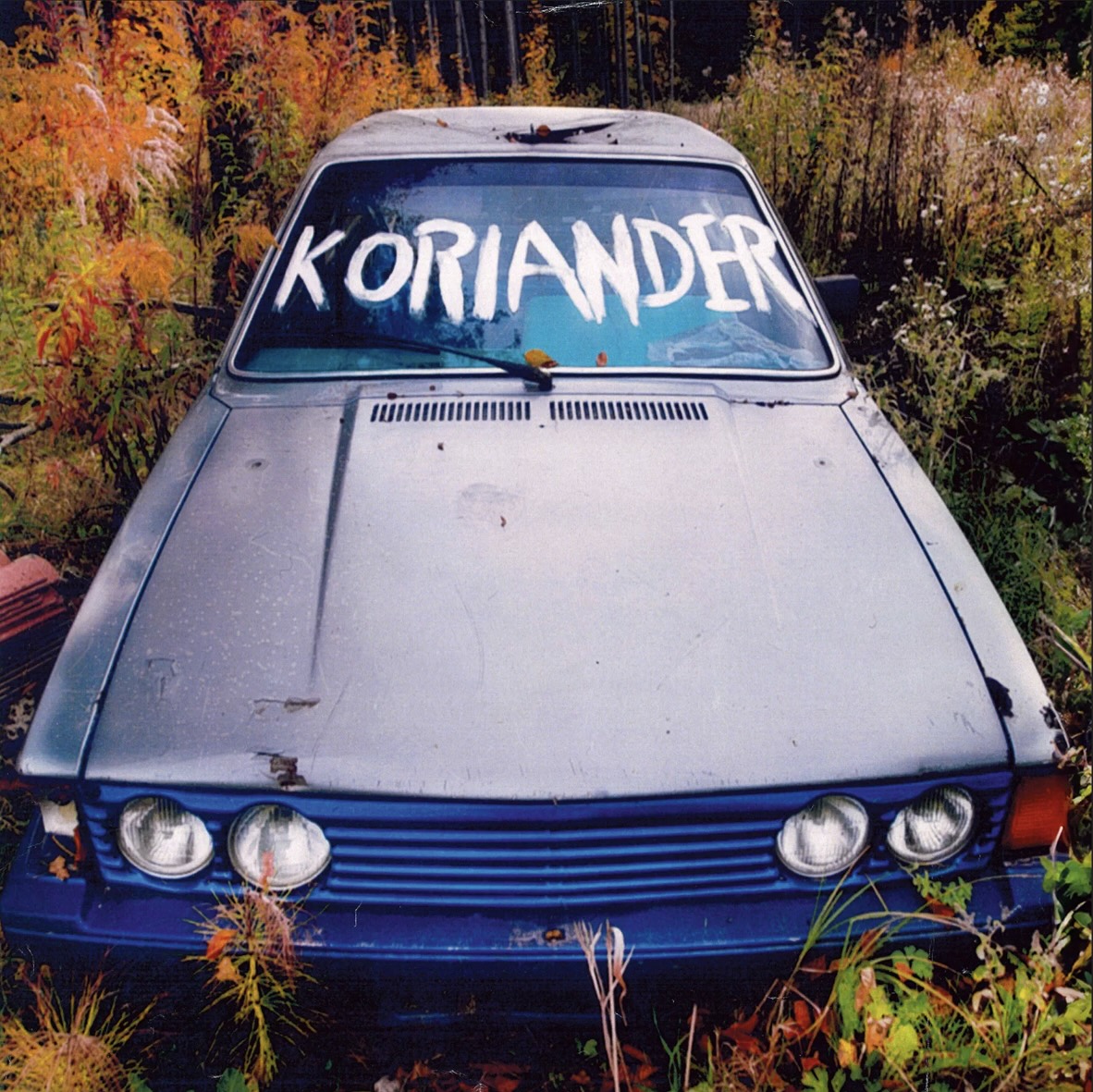 Konzert: koriander